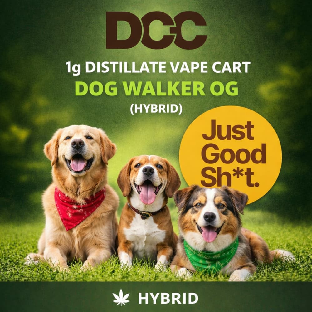 DCC Dog Walker