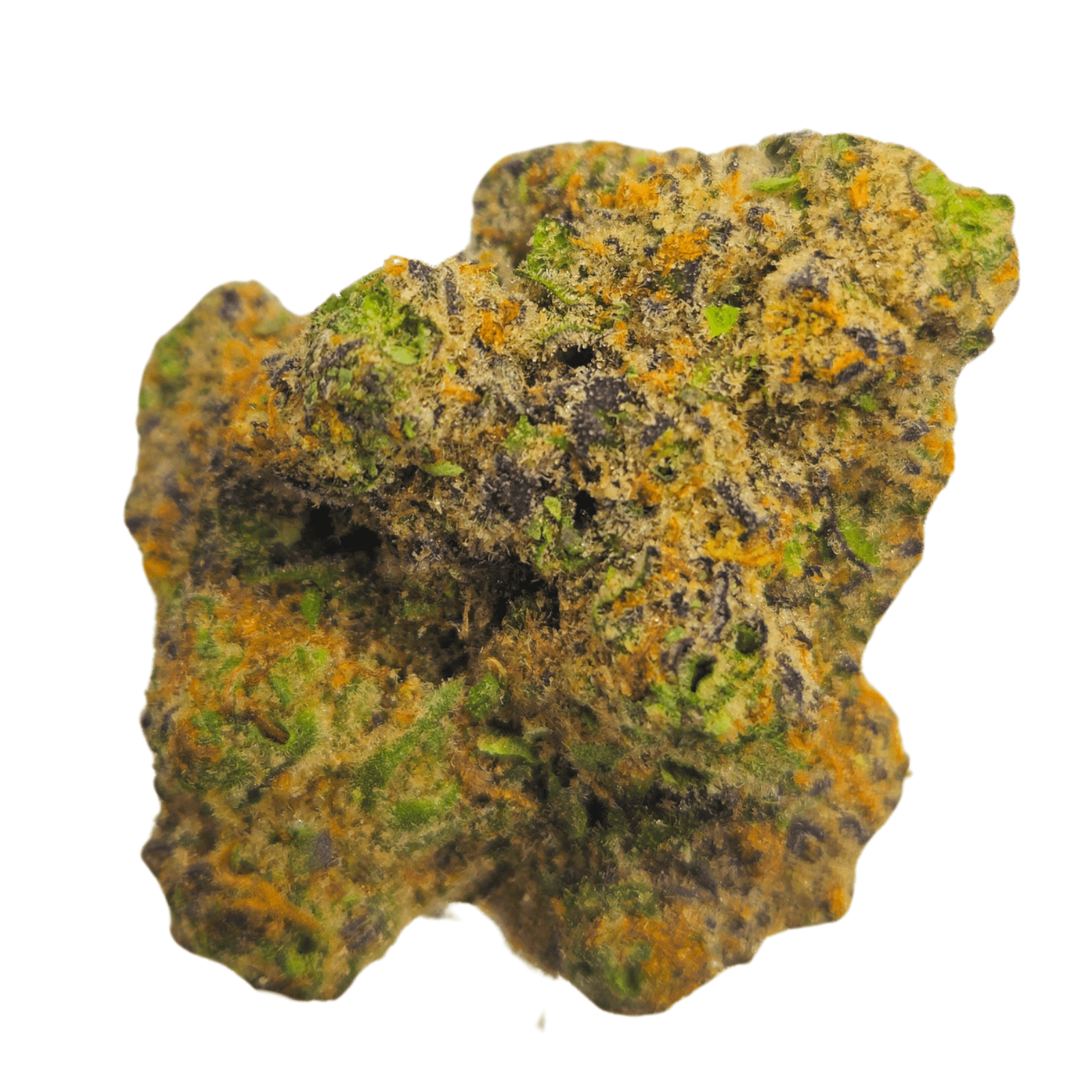 Farm Science Farm Science Canary Berry