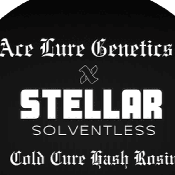 Stellar Solventless