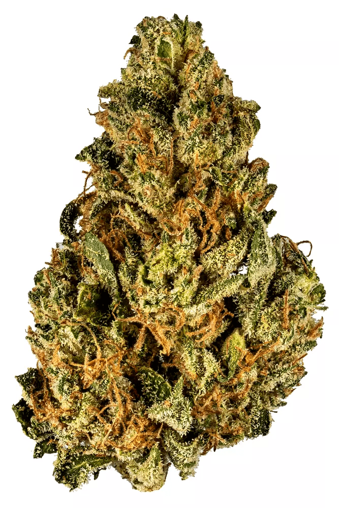 Carbon GMO SHERB 3.5G