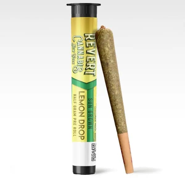 REVERT Pre Roll Lemon Drop | .5g