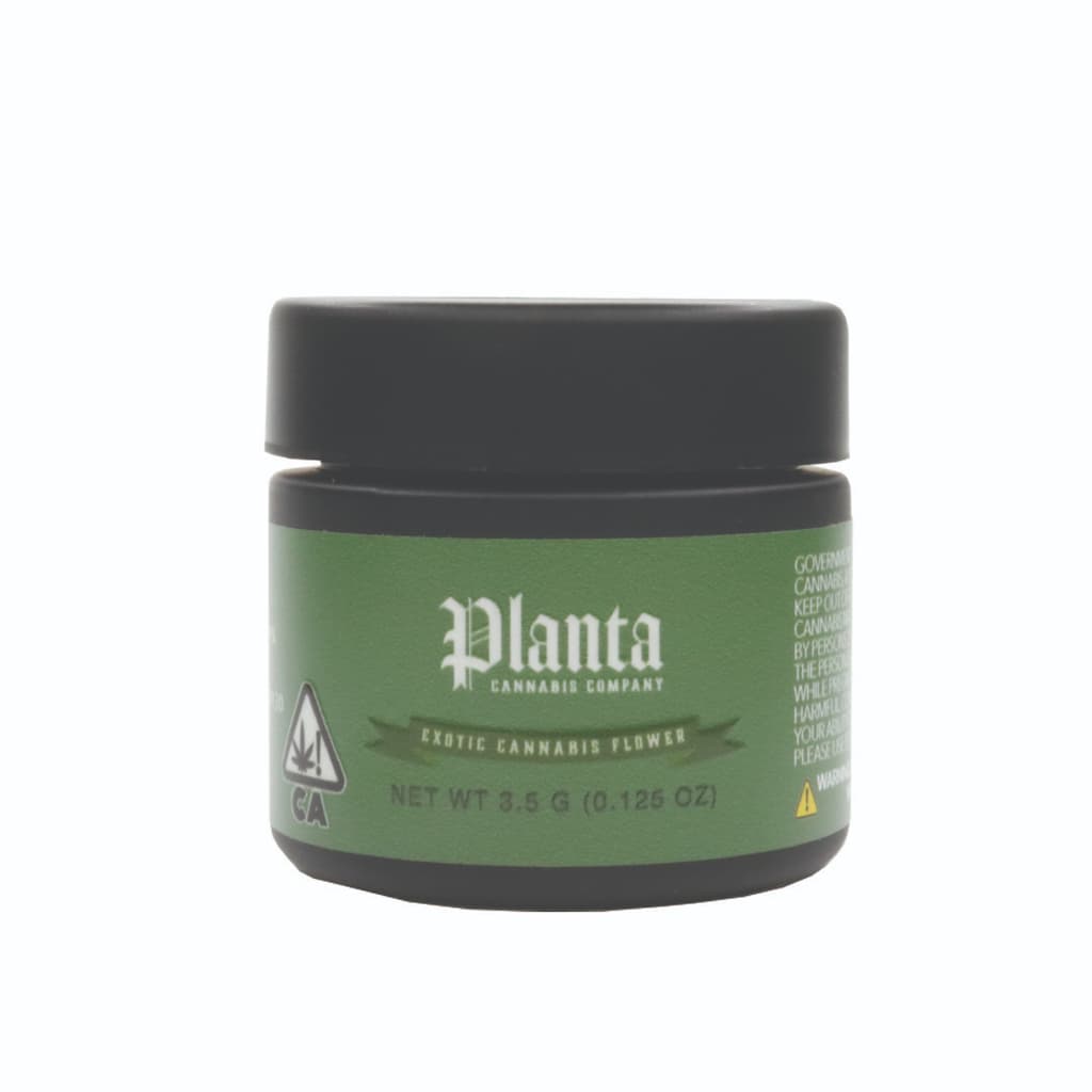 Planta Gelato 41 3.5g