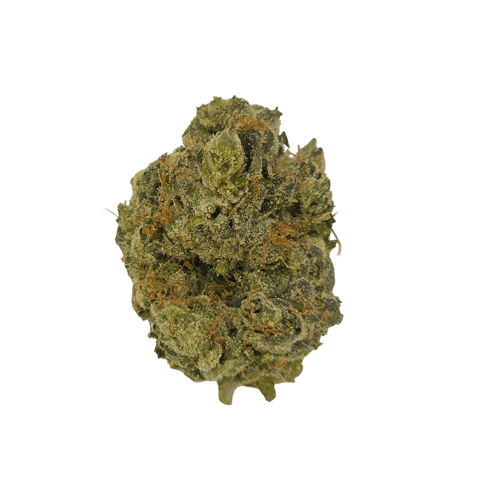 Rosebud