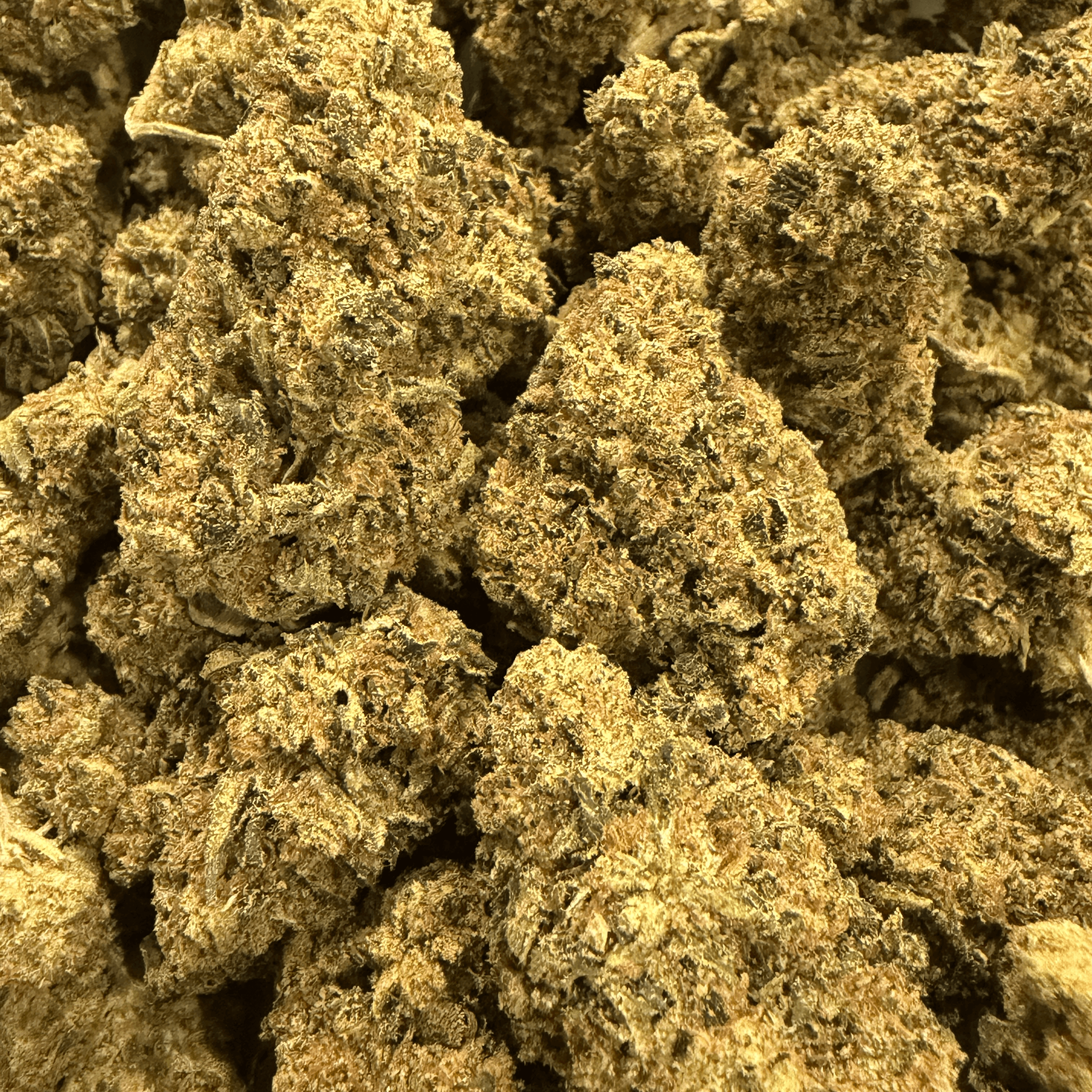 Left Coast Standard Flower
