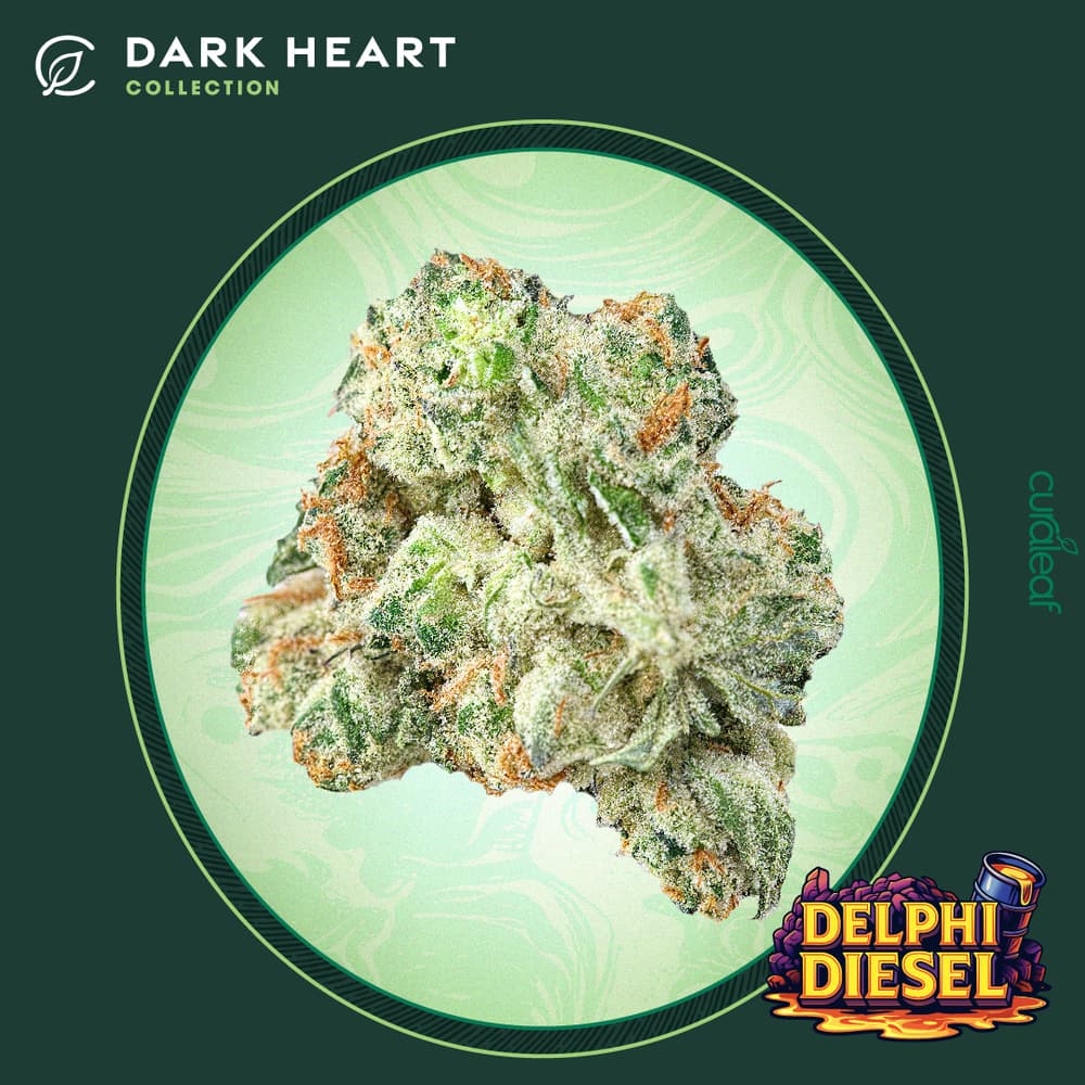 Dark Heart
