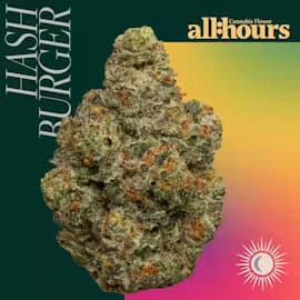 all:hours all:hours Hash Burger 41389