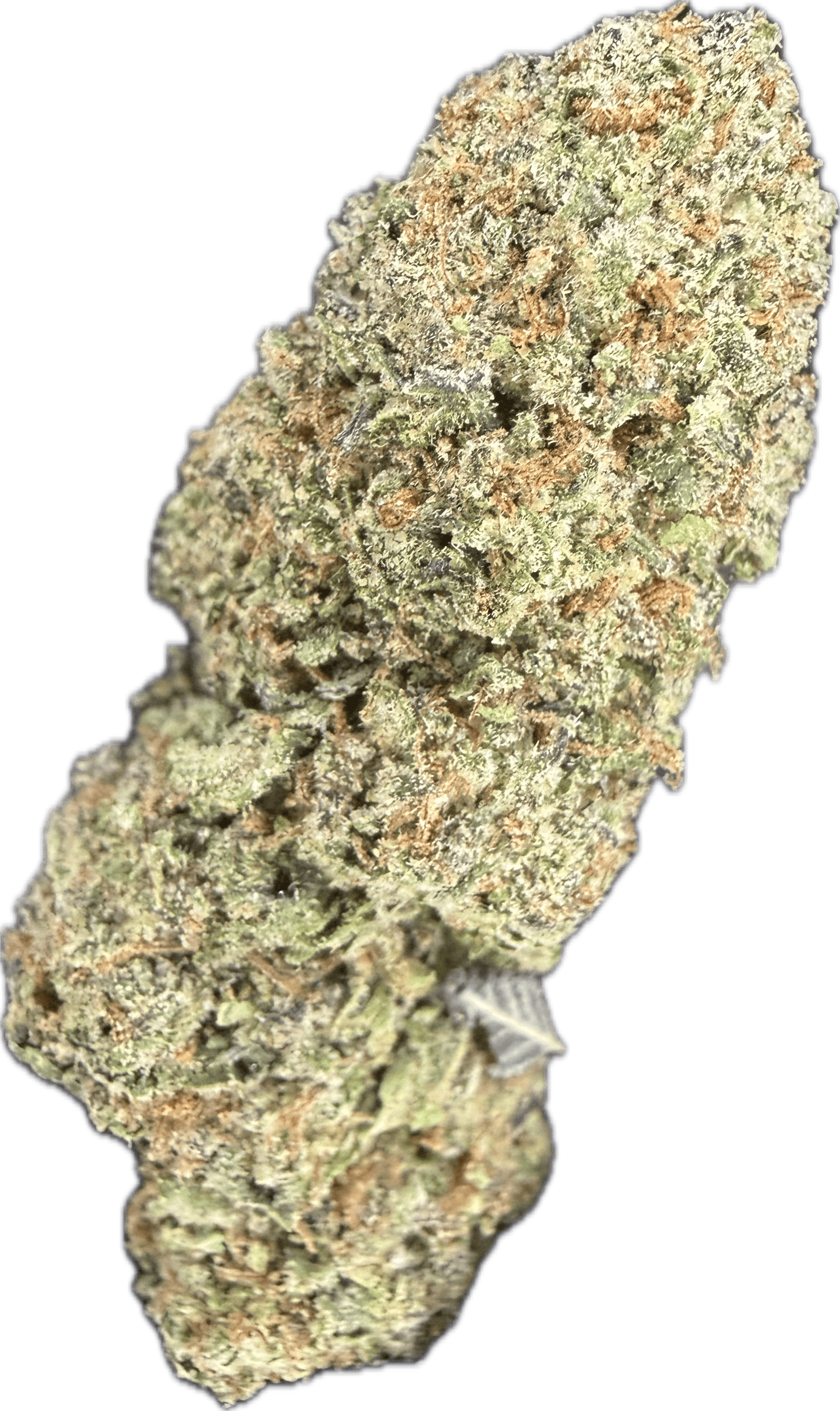 Dakota Green Terp Ranch