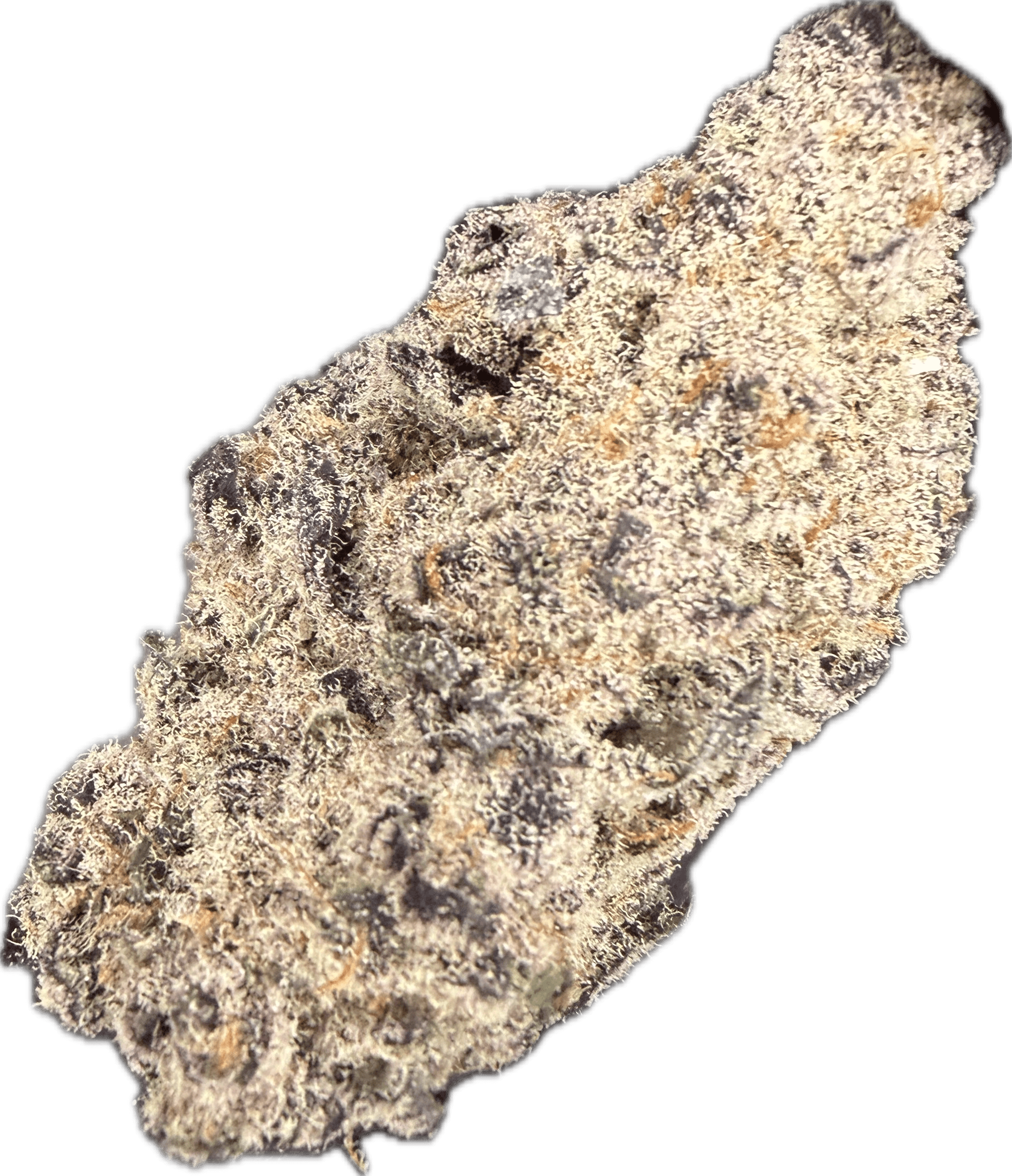 DNG SUPER BUFF CHERRY