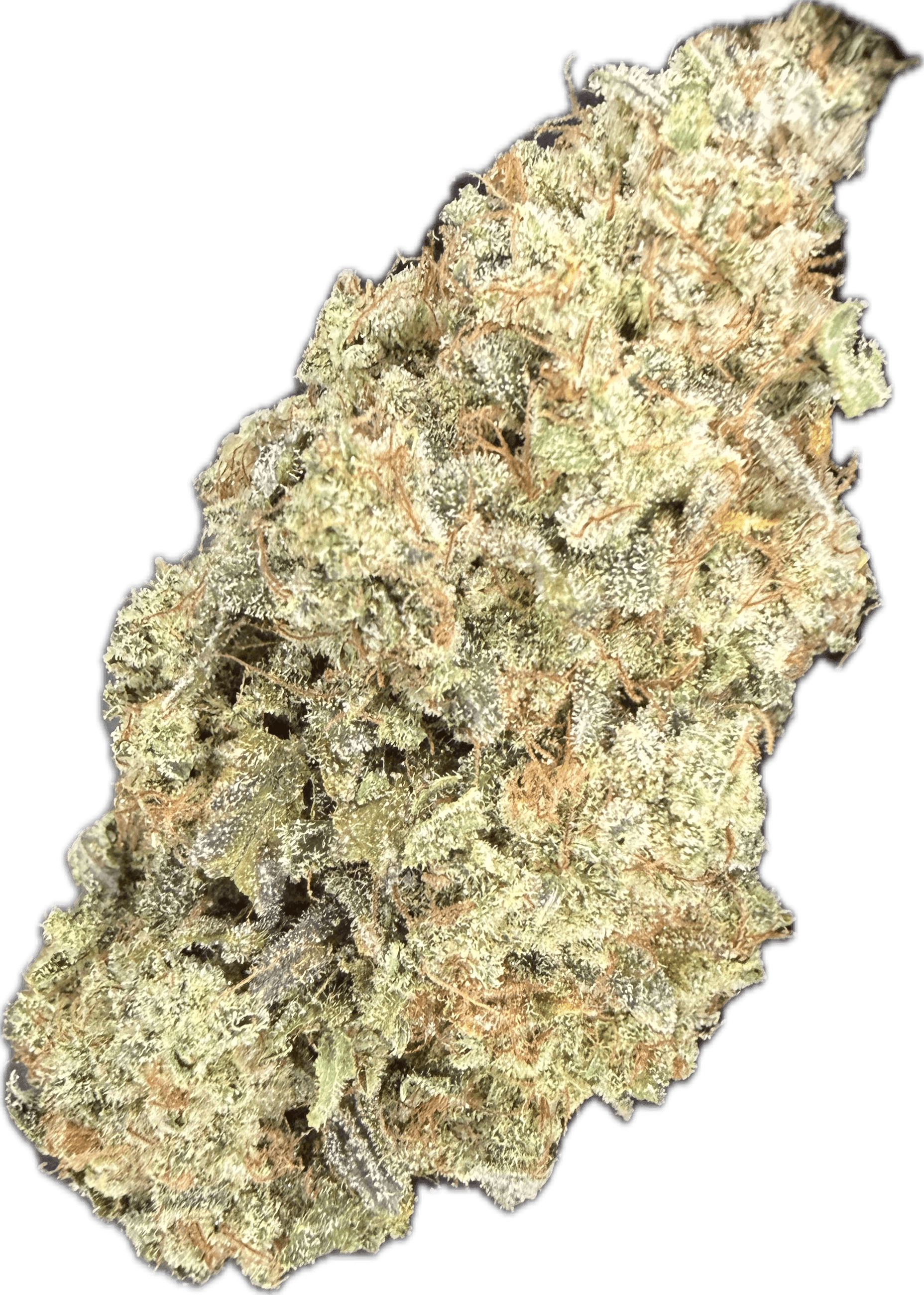 DNG GRAPEFRUIT SOUR