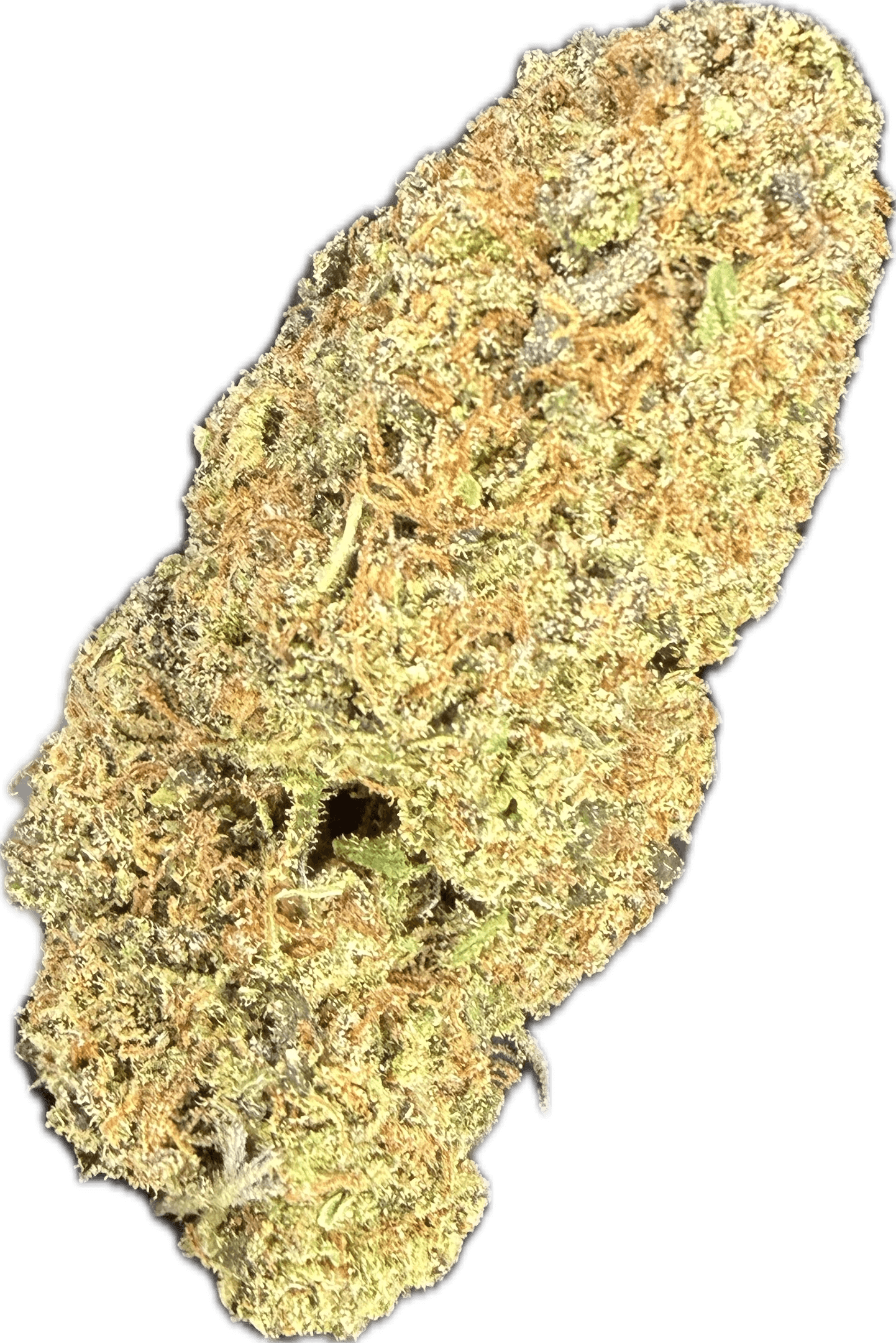 Dakota Green Terp Ranch