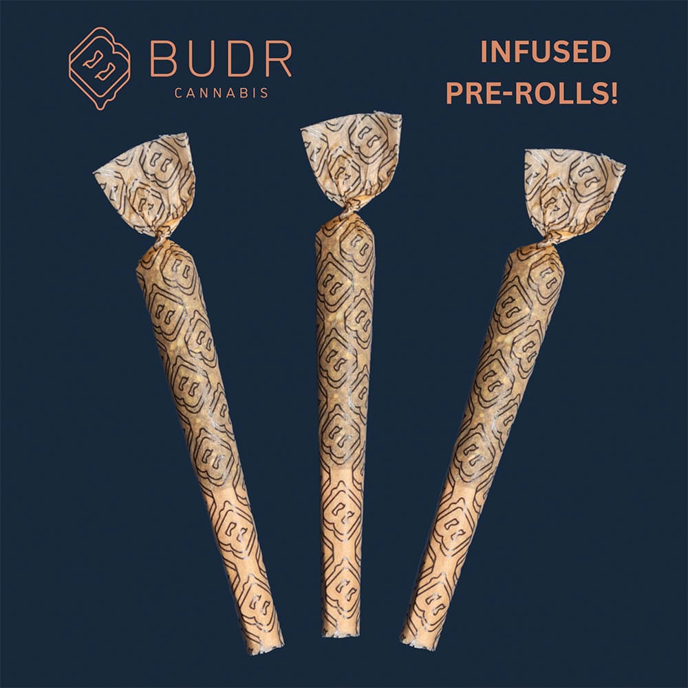 Budr