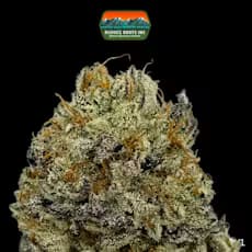 Rugged Roots Rugged Roots | Chemistry