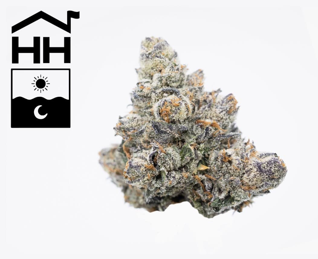 Harbor House Collective