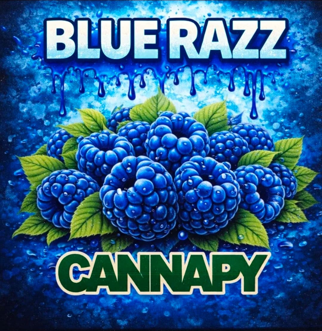 Cannapy Blue Raz - Vape Cartridge - Sativa