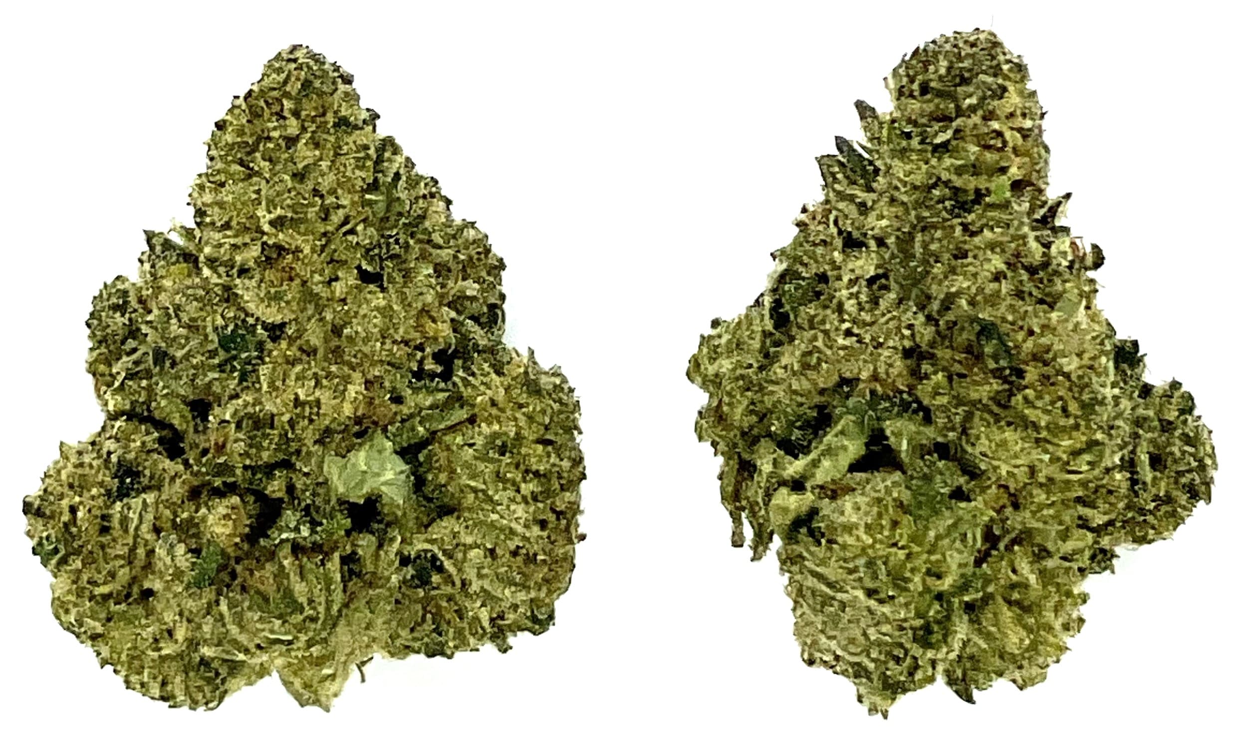 MT Kush Buds | Pinata Unicorn