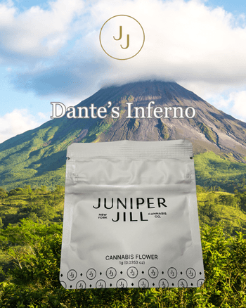Juniper Jill