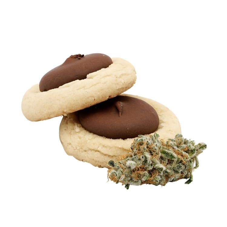 Northwest Cannabis Solutions
