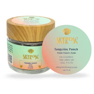 SkyRose Tangerine Punch - Flower