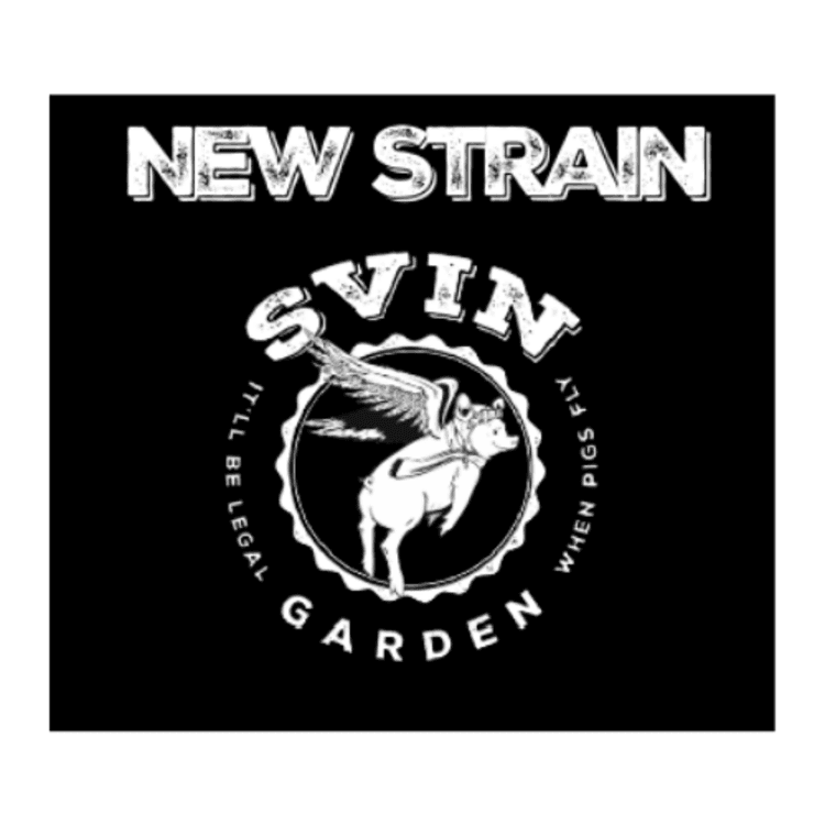 Svin