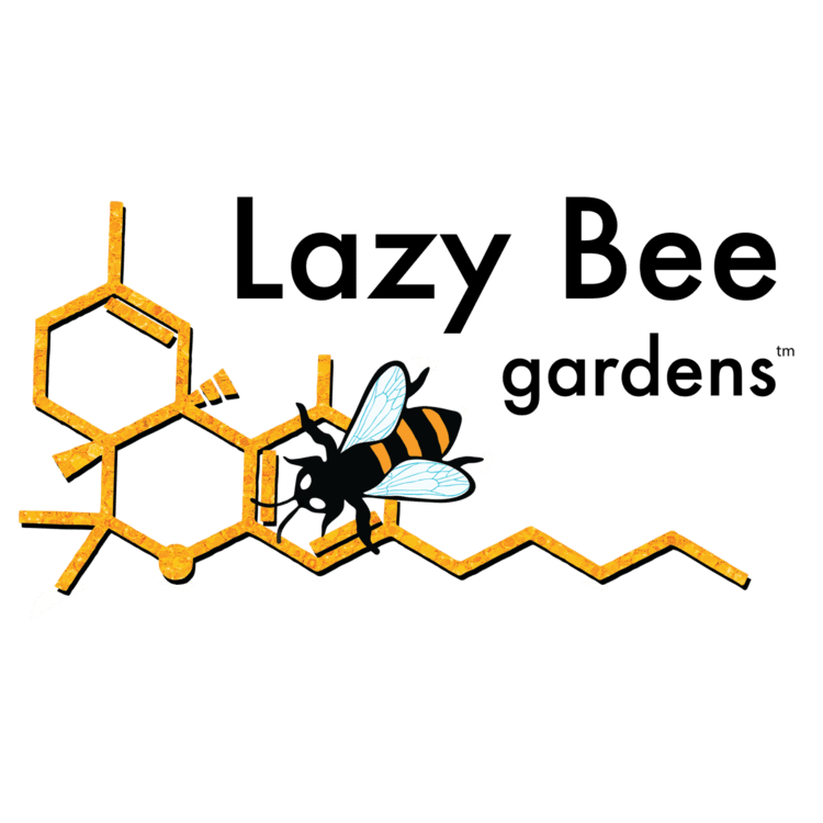 Lazy Bee GMO