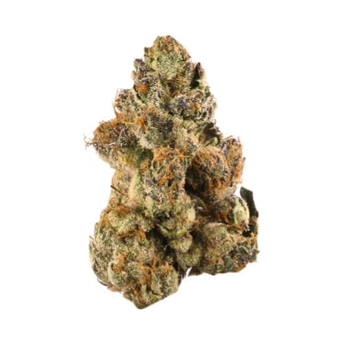 Rogworld *BONG GURU ROCKSTAR - 28g