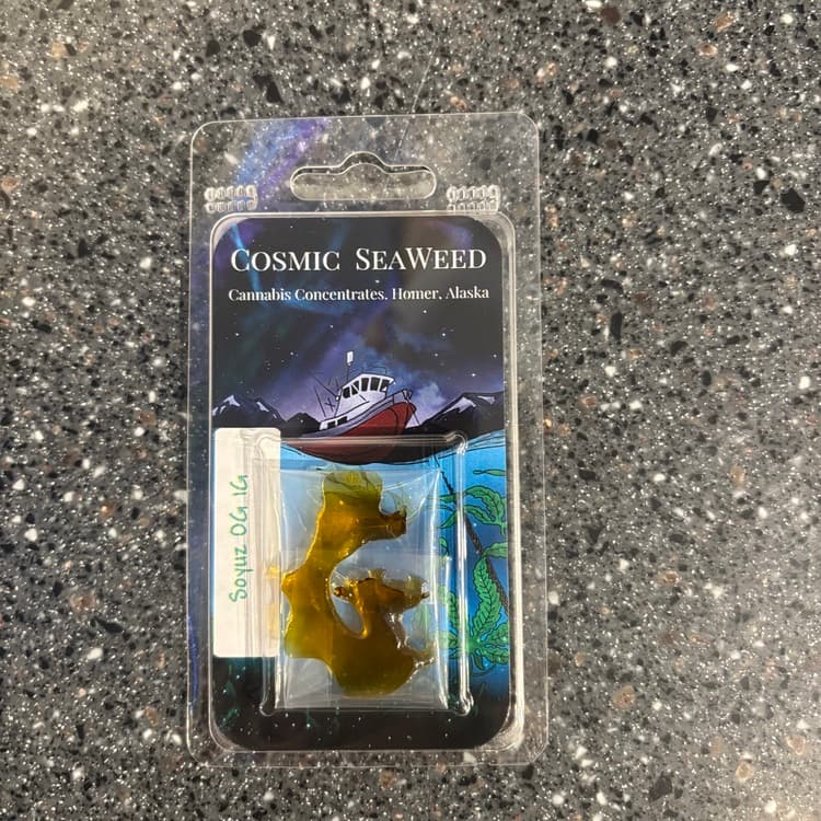 Cosmic SeaWeed Soyuz OG 1g Shatter