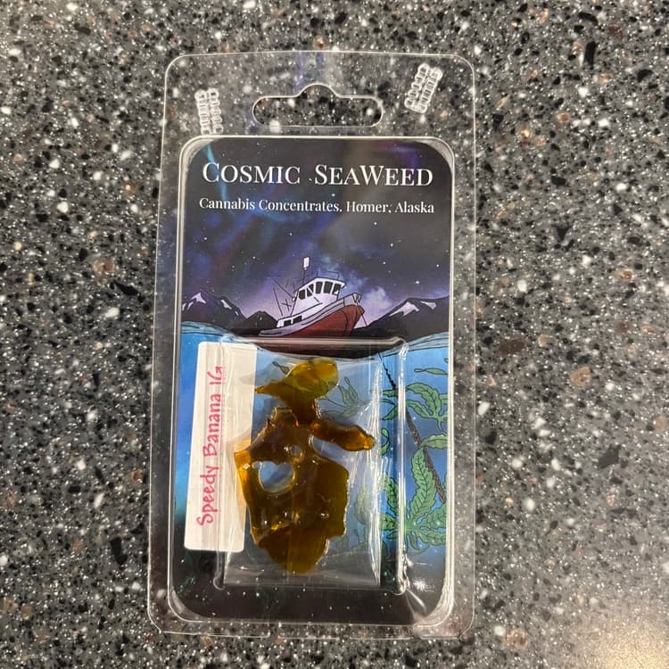 Cosmic SeaWeed