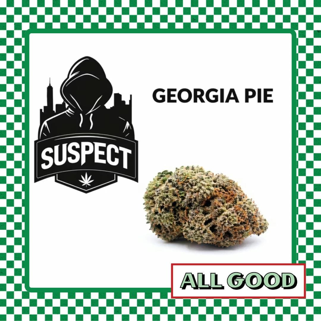 Suspect Georgia Pie - 2g Flower