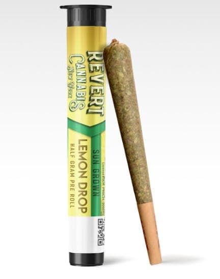REVERT Lemon Drop - Preroll