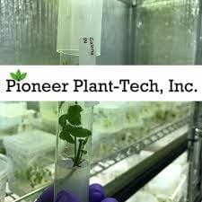 Pioneer Plant-Tech