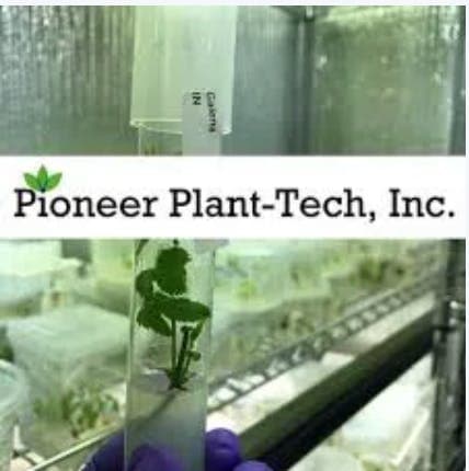 Pioneer Plant-Tech