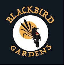 Blackbird Gardens Black Sap Flower 3.5g
