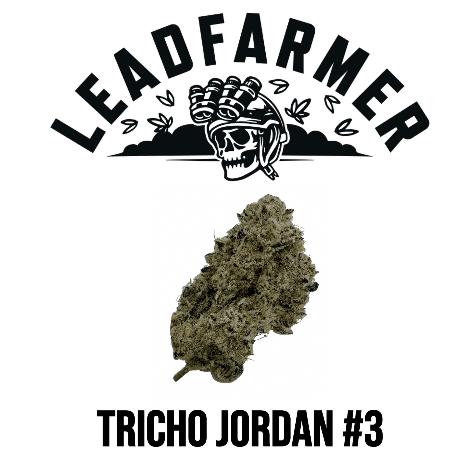 LeadFarmer Tricho Jordan #3 Flower | LeadFarmer