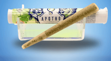 Apotho Therapeutics Honey Banana Pre Roll