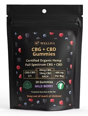 Welliva Welliva 2:1 CBG+CBD Gummies 20 Pack