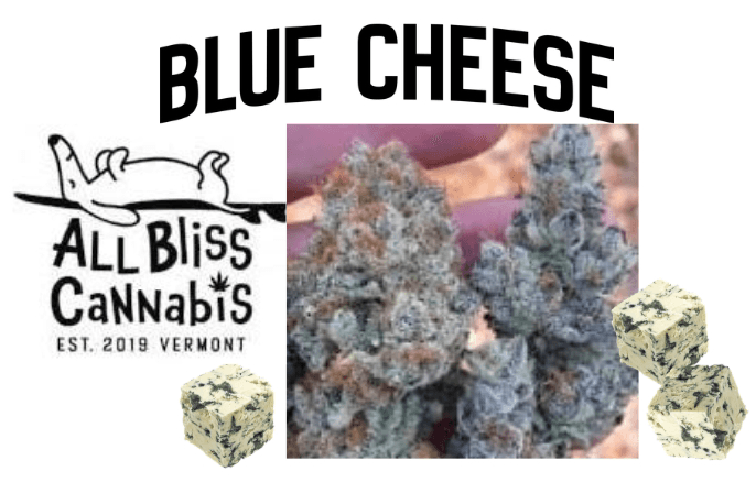 All Bliss Cannabis Blue Cheese