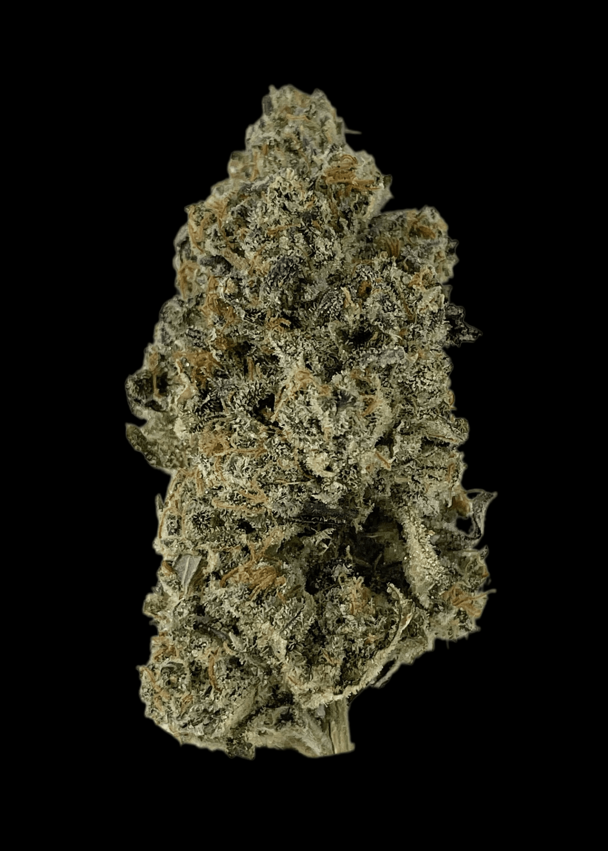 6 Point Cannabis Krazy Runtz | Flower