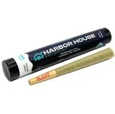 Harbor House Colllective