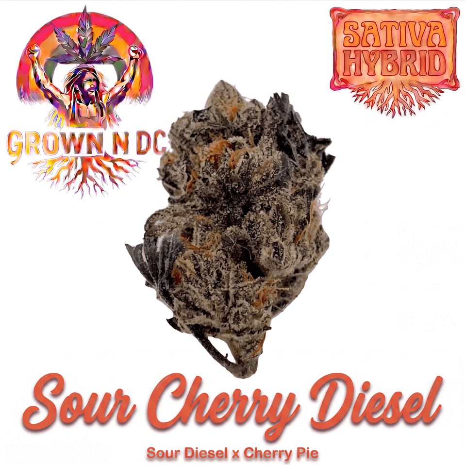 grown n dc Sour Cherry Diesel