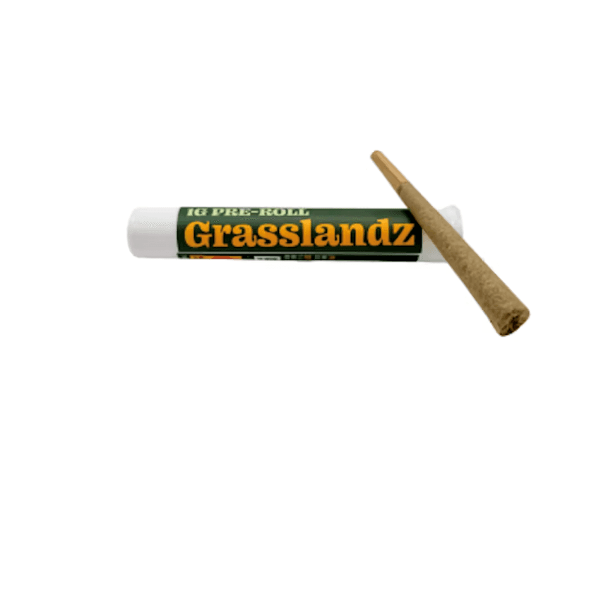 Grasslandz