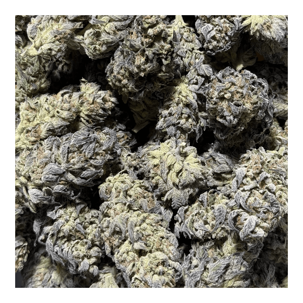 Clovis Don Atari | Bulk Flower | Clovis
