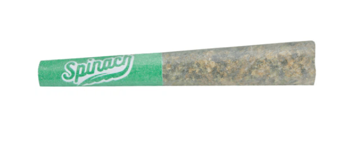 BCLDB Spinach - Blue Thai #2 (1x0.5G)