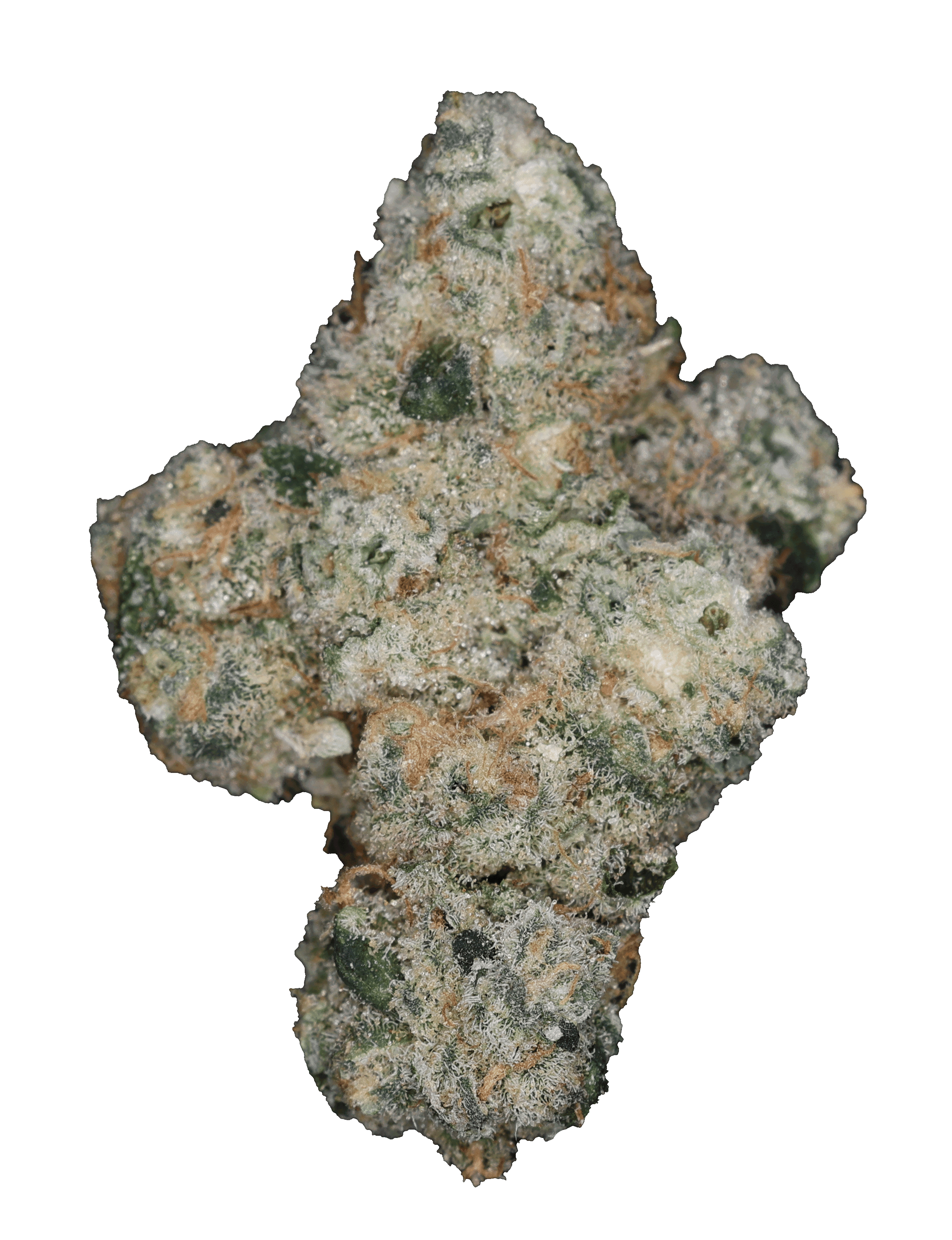Ocean State Curated Cannabis Concentrates