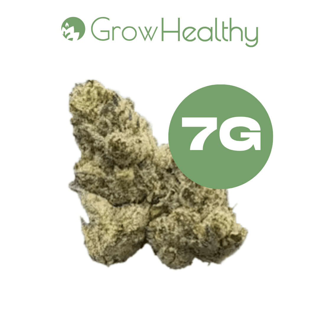 GrowHealthy Oreoz Flower
