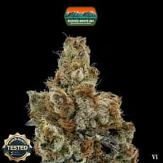 Rugged Roots Rugged Roots | Ice 101