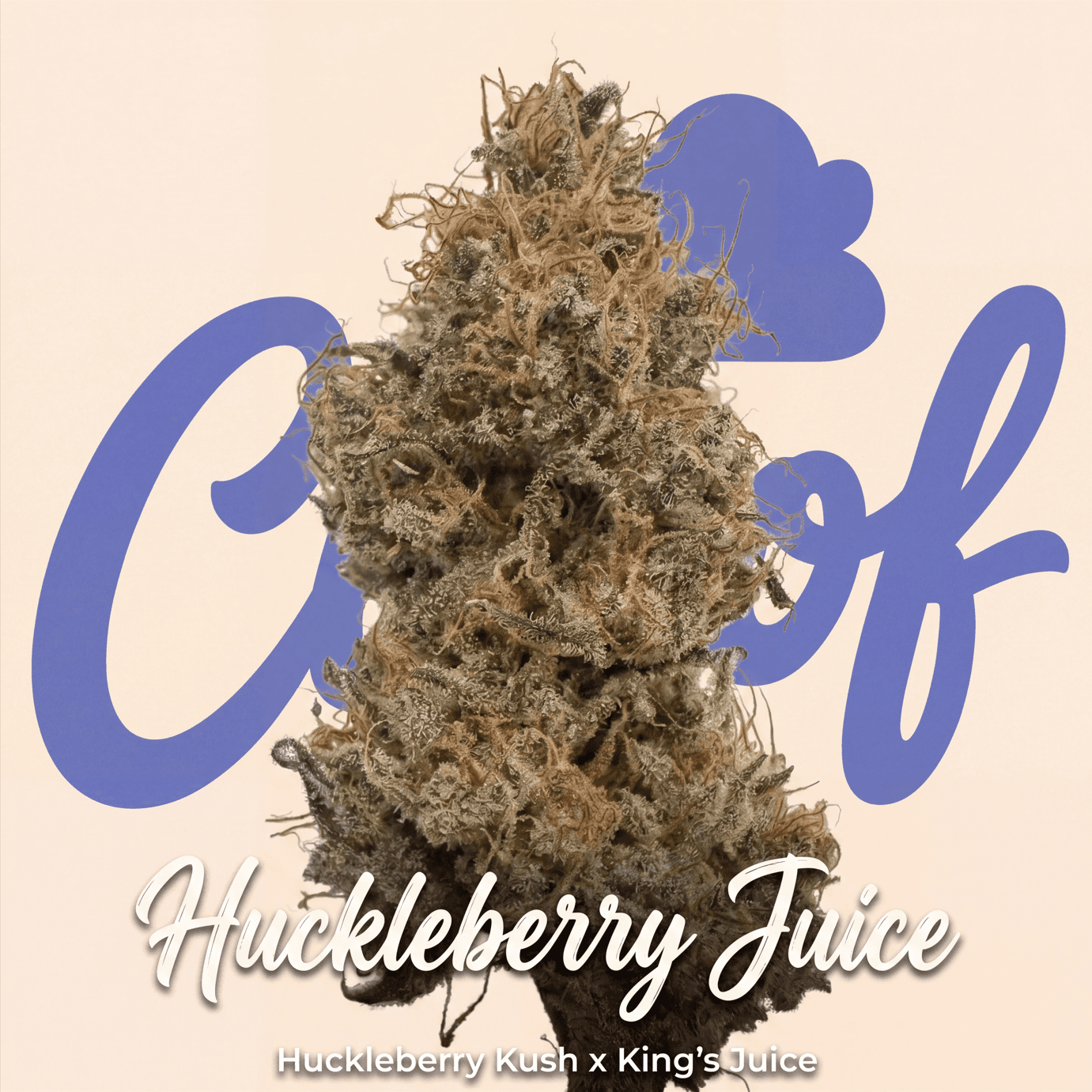Choof Flower