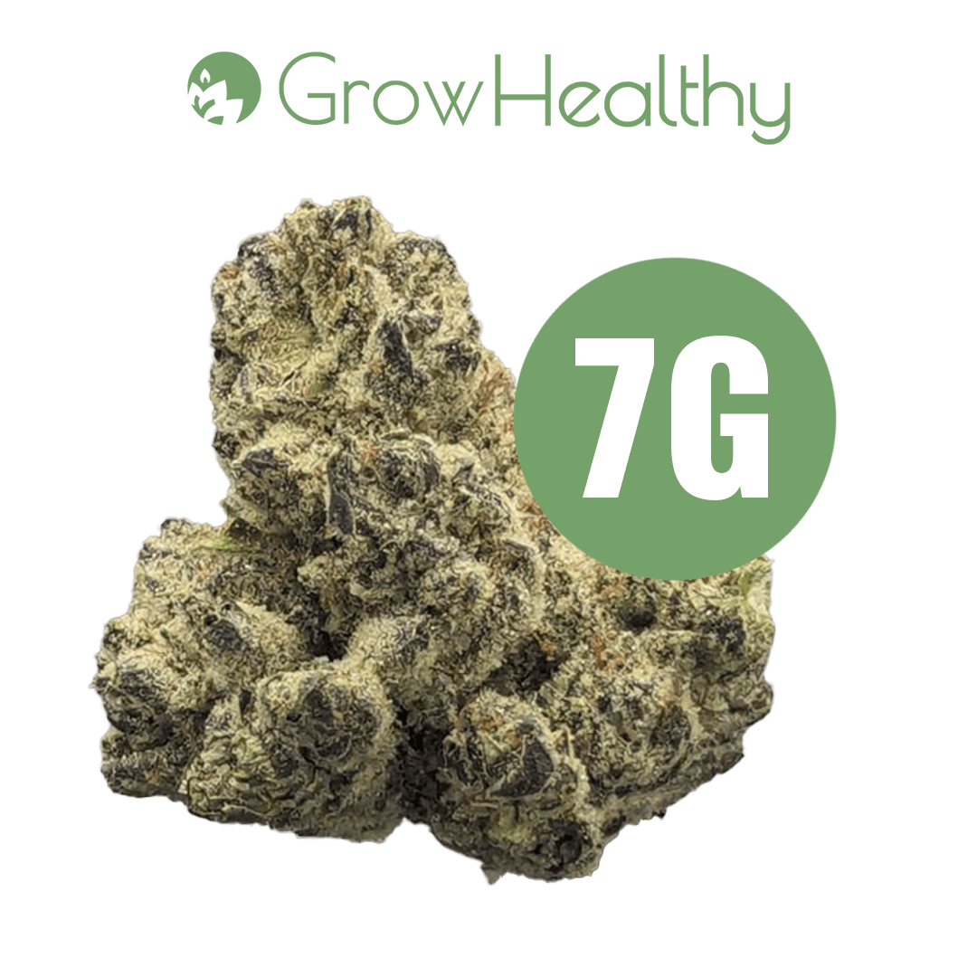 GrowHealthy Queso Grande Flower