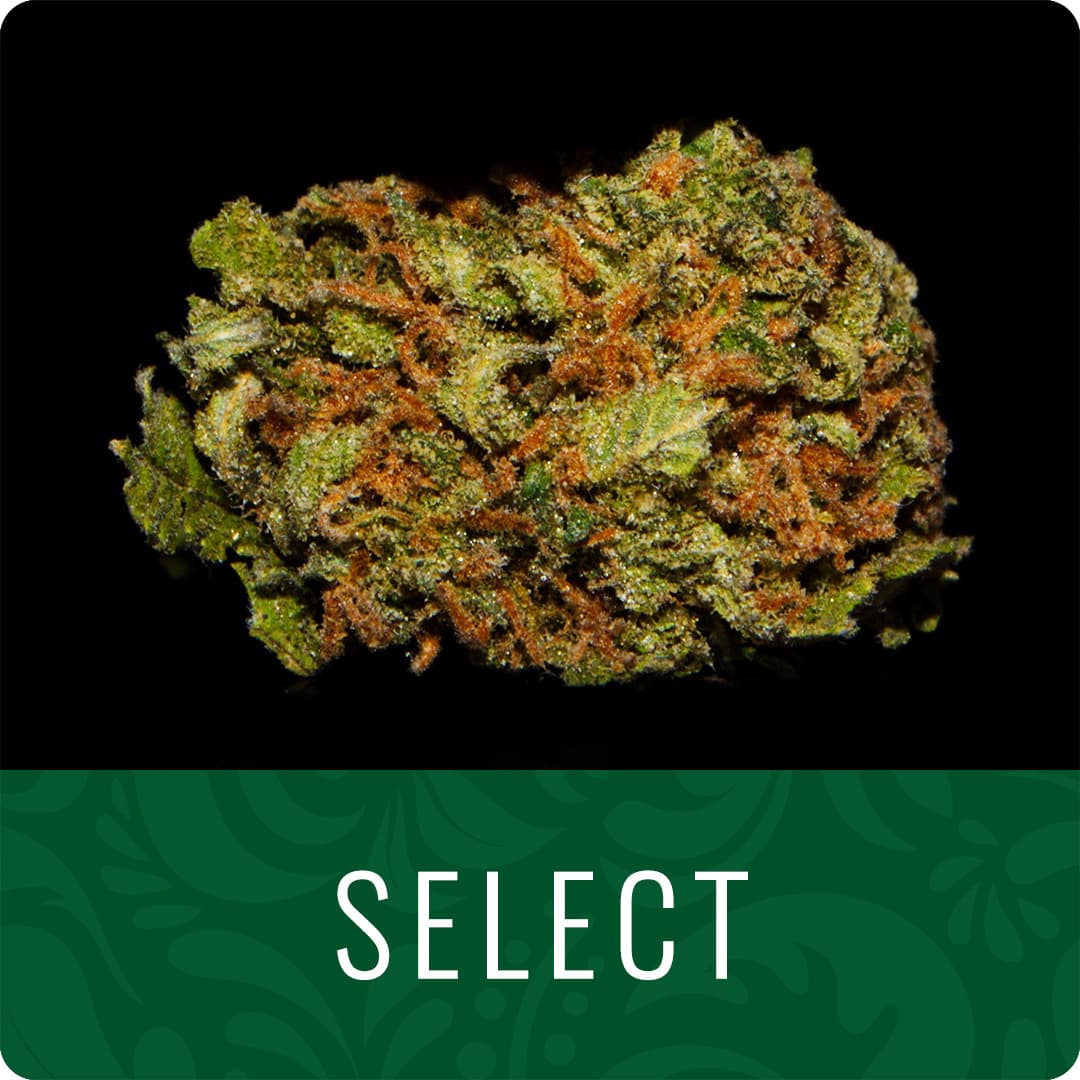 LivWell Durban Kush