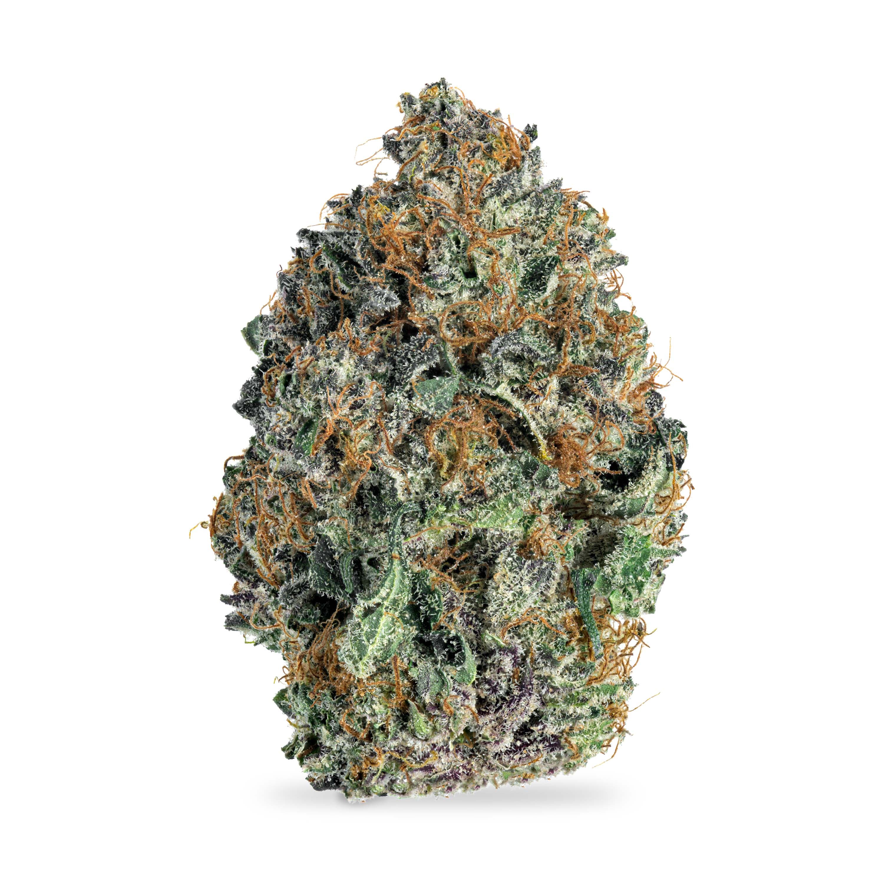 Cranium Cannabis ABQ Sunset #2