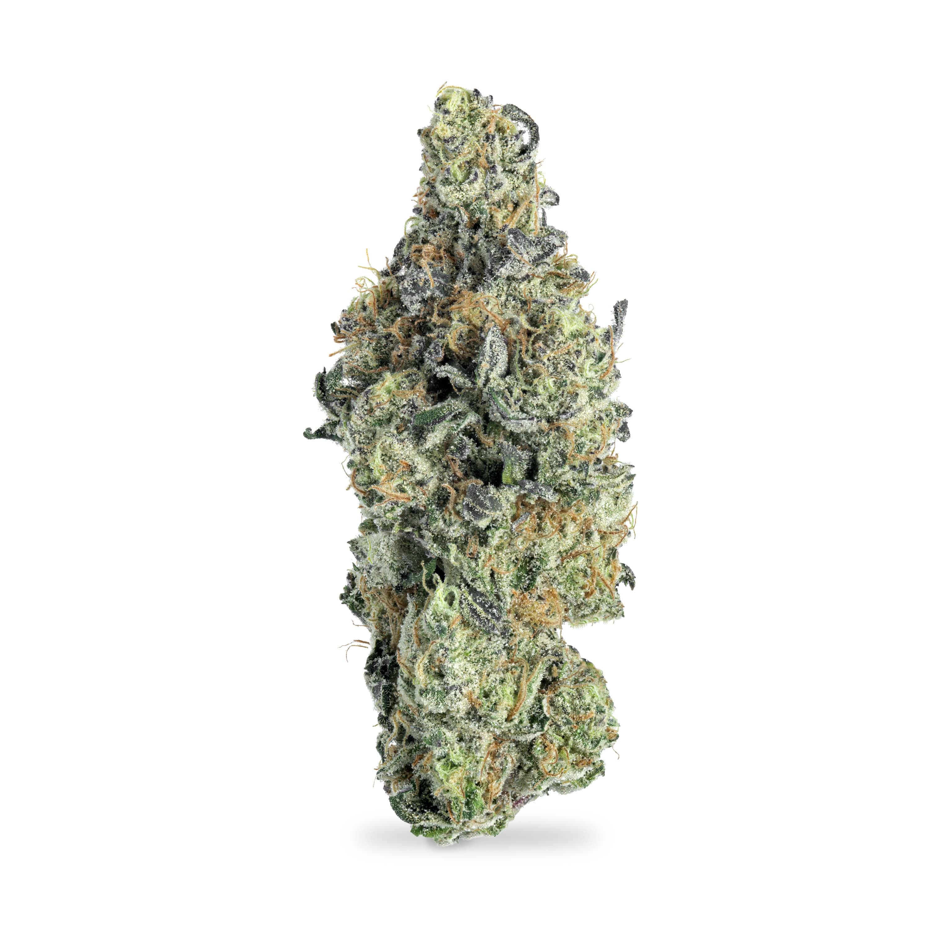 Cranium Cannabis Kush Mintz